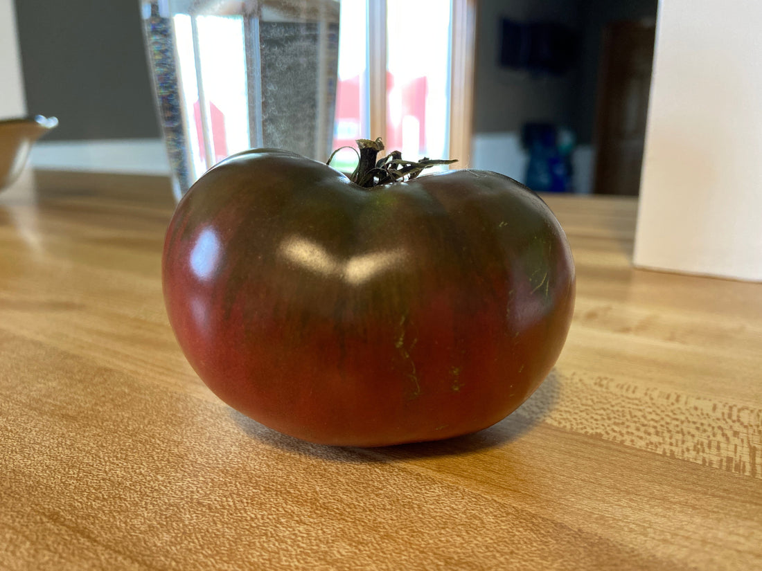3 Ways to Preserve Tomatoes at home!
