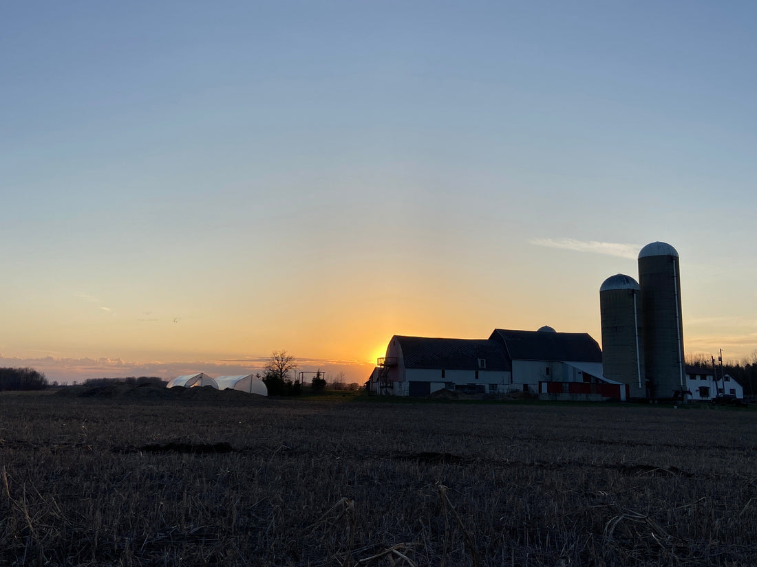 Green Bay’s BIGGEST Little Farm