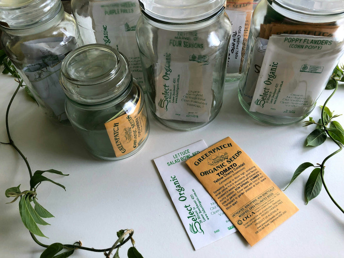 All things SEEDS!
