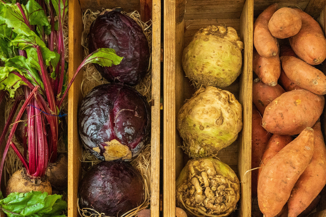 What is CSA?