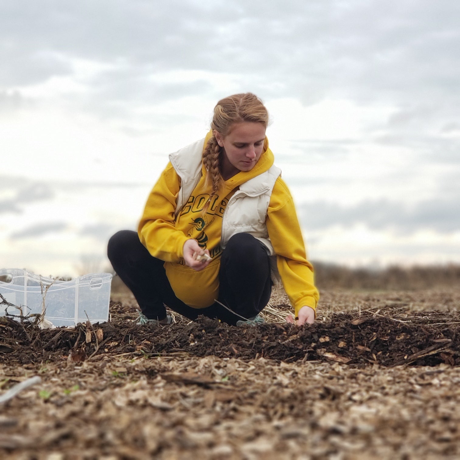 Person in yellow sweater planting seeds in a field