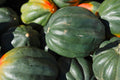 Winter Squash