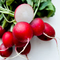 Radishes