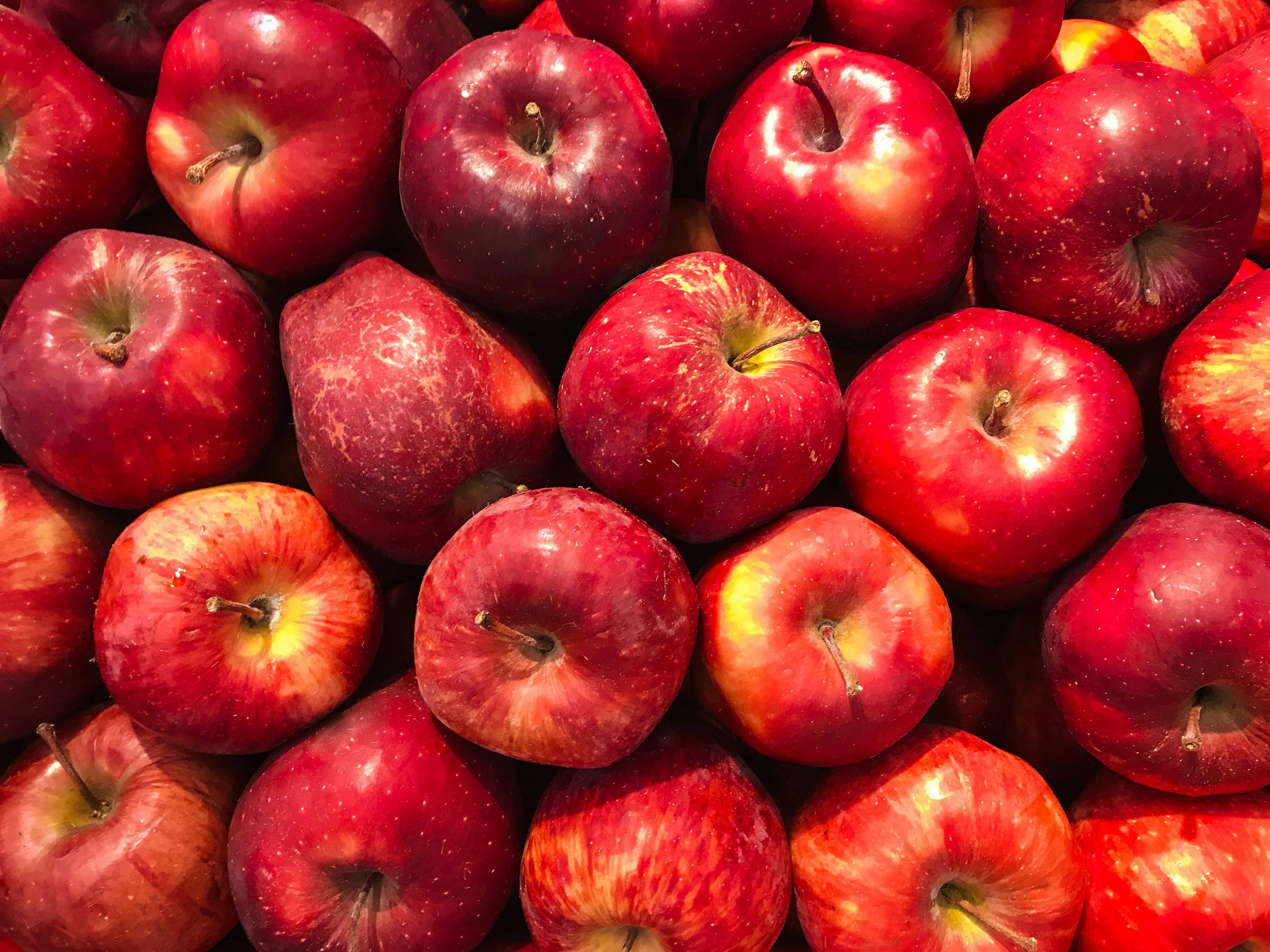 Apples (Pending Harvest Conditions)
