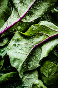 Beet Greens