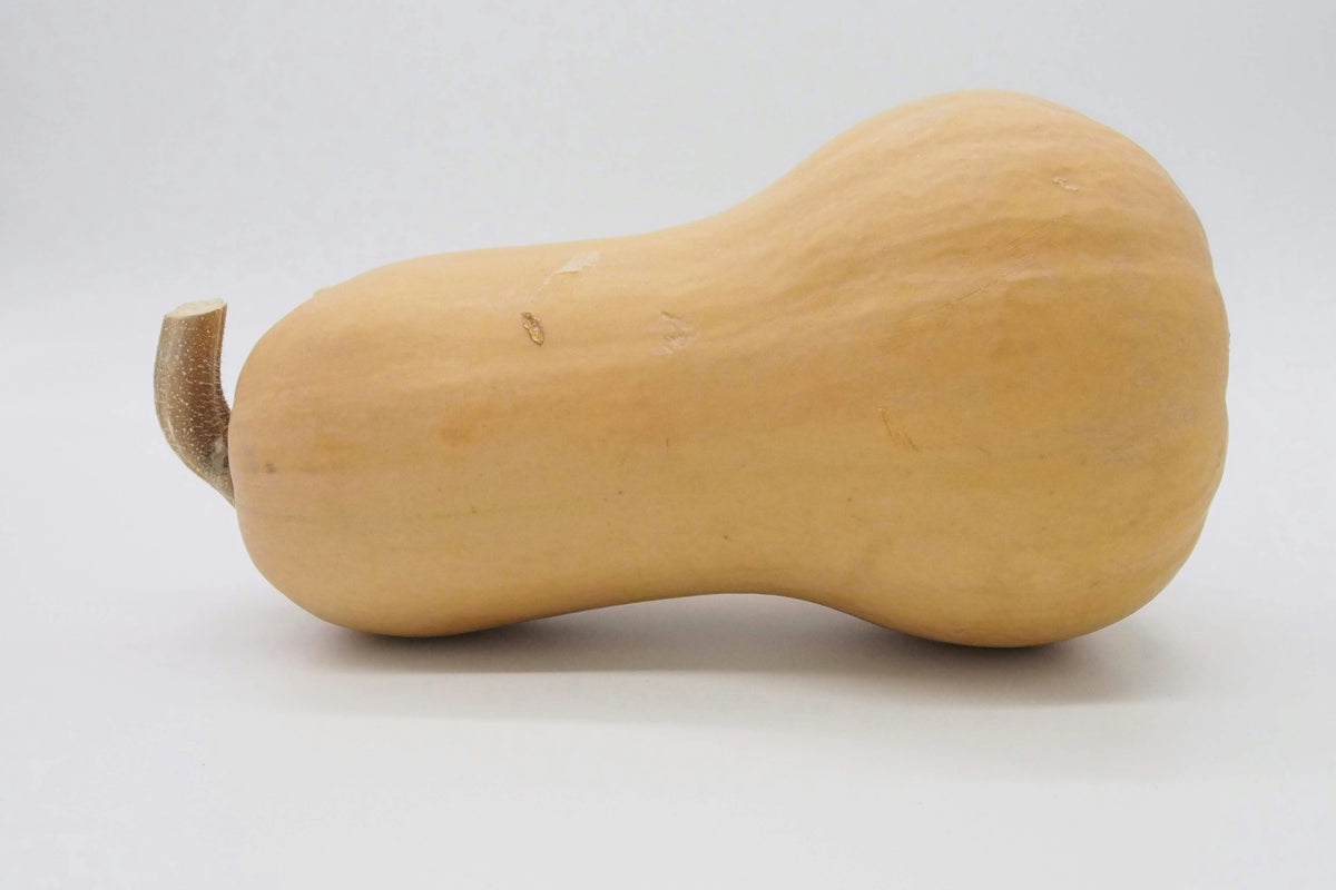 Winter Squash